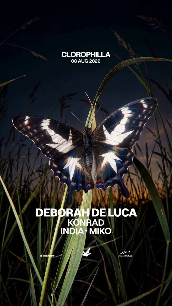 Video dell’8 agosto: una farfalla sull’erba alta al tramonto, con il lineup sotto.