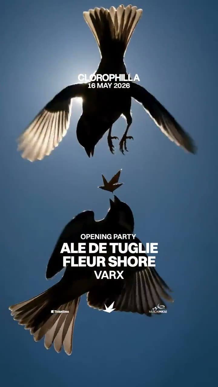Video dell’opening del 16 maggio: due uccelli controsole in un cielo blu.